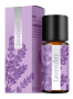 Lavender Lavender