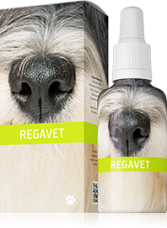 REGAVET