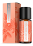 SWEET ORANGE SWEET ORANGE