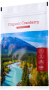 Organic Cranberry Juice Powder Organic Cranberry Juice Powder